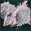 notitle