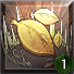 自然の恩寵.png