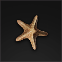 notitle